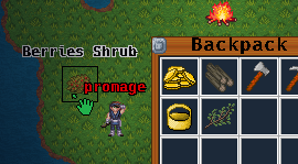 forage bushes for berries